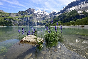 Gallery Lake Oeschinen