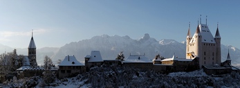 Castle and Church of Thun with Stockhorn Mountain Range