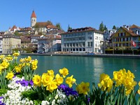 Gallery Thun